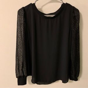 Loft Top with Shiny Sleeve Details Size Small